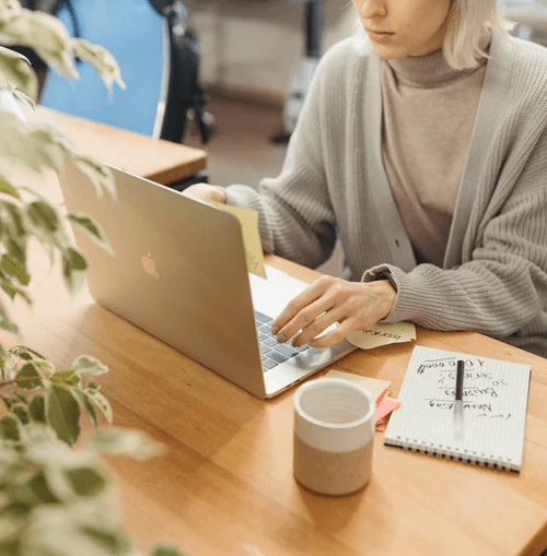 AmontaraVex illustration de l'équipe de soutien